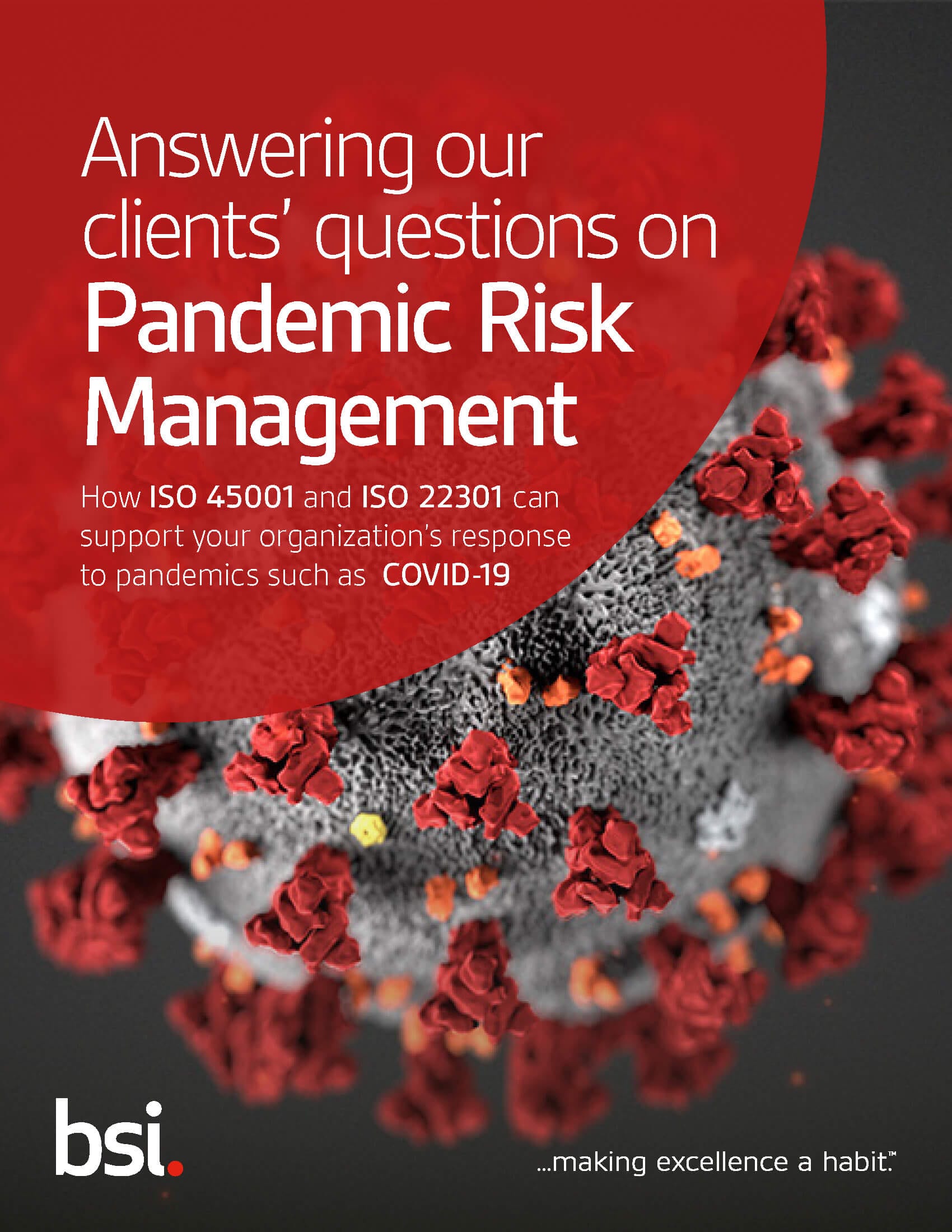 Pandemic Risk Management brochure